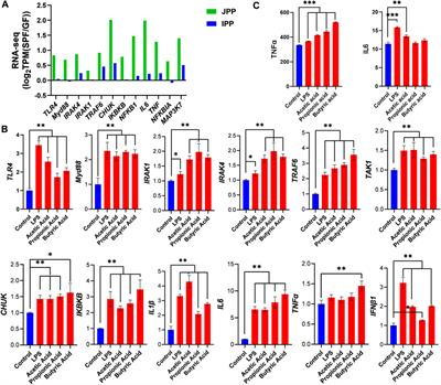 Commensal microbiota modulates phenotypic characteristics and gene expression in piglet Peyer’s patches